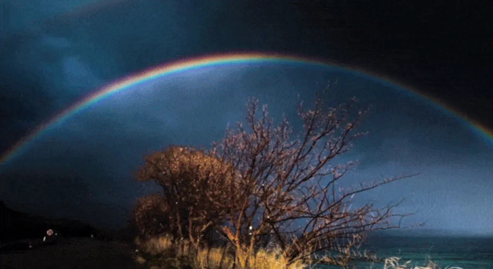 A screenshot from a Veritasium video about rainbows. The host explains the physics behind a rainbow's curved shape, the darker appearance of the sky above the rainbow known as Alexander's dark band, and demonstrates how polarized sunglasses can make a rainbow seemingly vanish when rotated at certain angles.