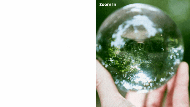 Gif showing Zoom Out and Zoom In