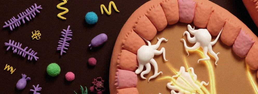 Microbiome on maternal health and fetal neurodevelopment