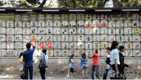 Gif of Expedia's city guide video demonstrating perfect use of B-roll.