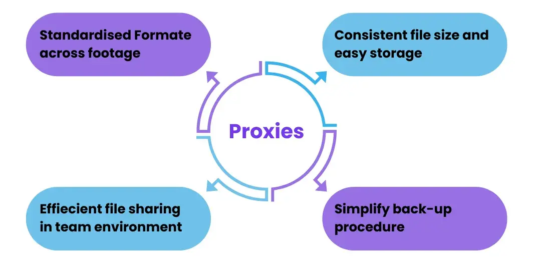 Diagram showing how proxies help in organizing your content by:1.Creating a standardized format across all footage2.Maintaining consistent file sizes for easier storage planning3.Enabling efficient file sharing in team environments4.Simplifying backup procedures with smaller file sizes