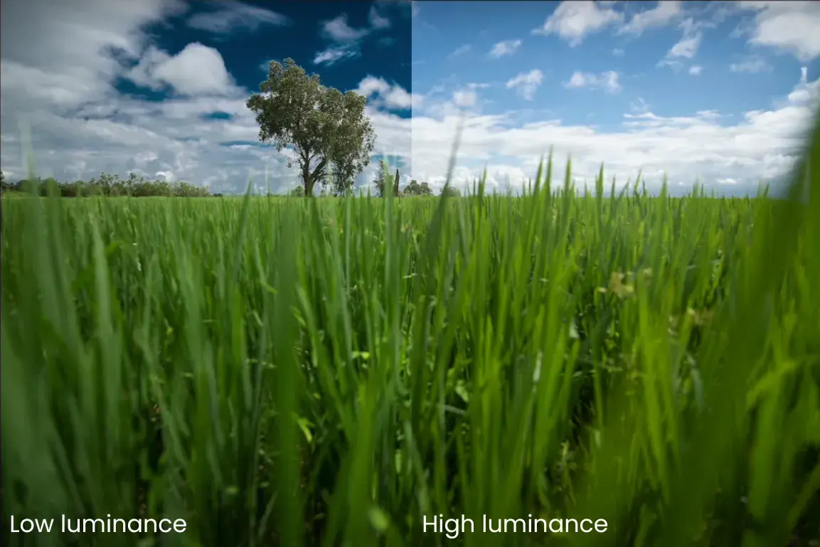 Split image comparison: Left side displays Low luminance image while right side shows high luminance.