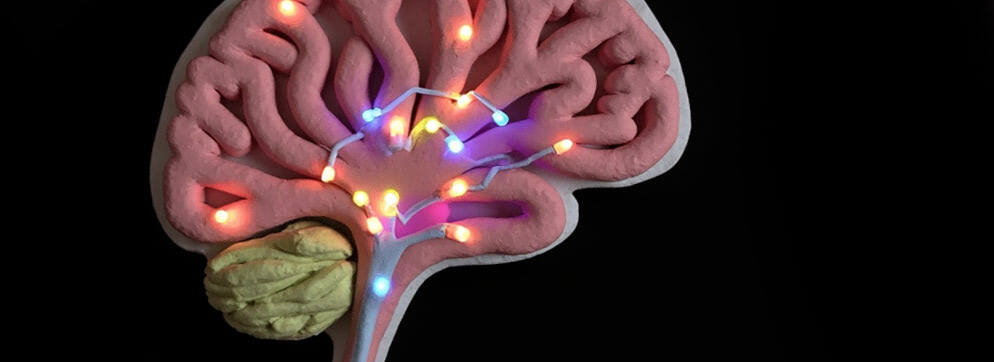 Microbiome and neuroimmune influences on neurological disorders