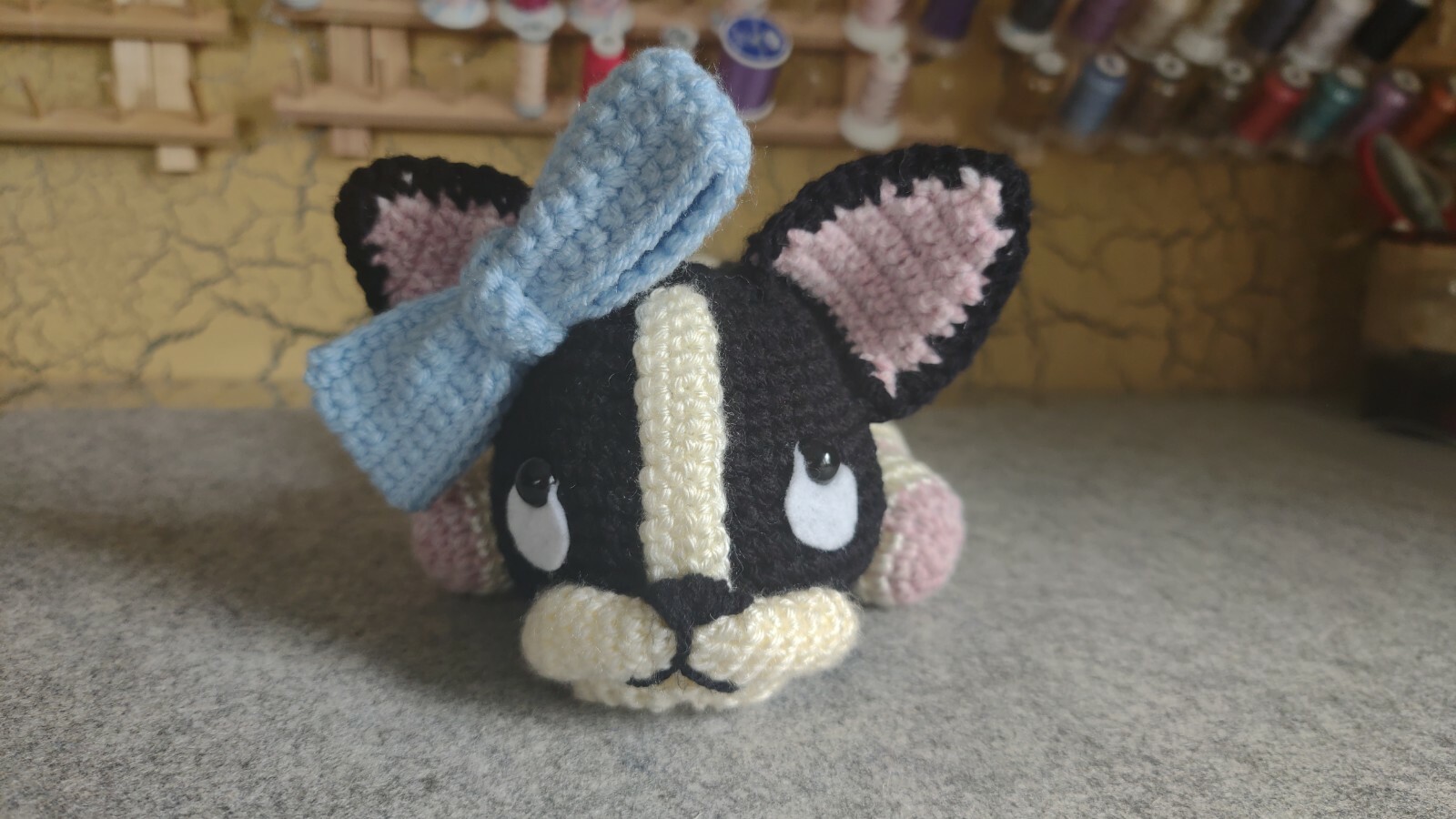 Belle the Boston Terrier