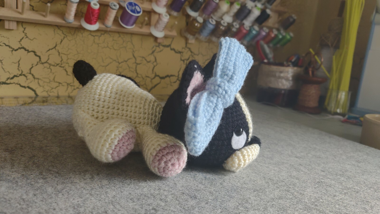 Belle the Boston Terrier