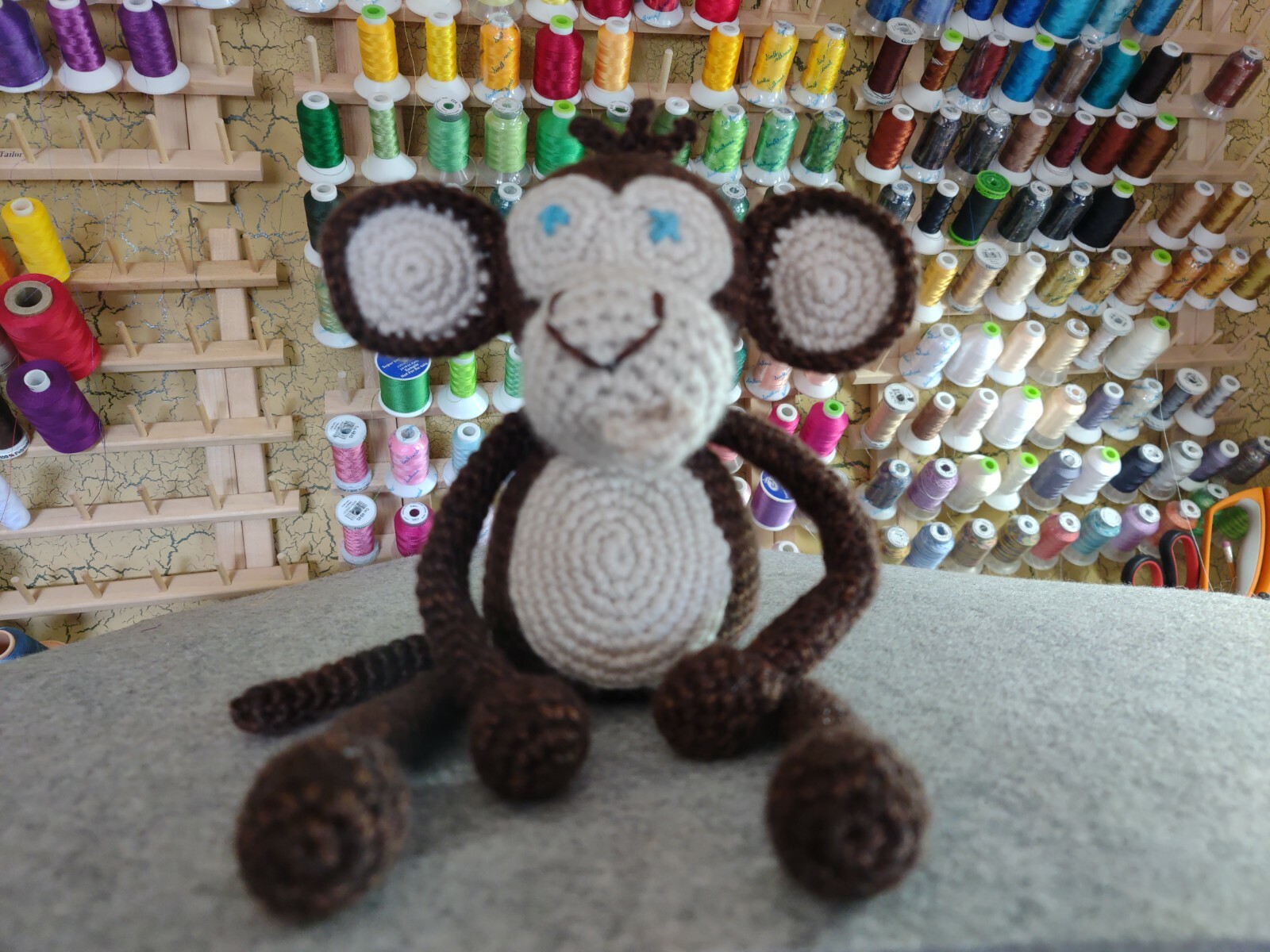 Boy Baby Monkey