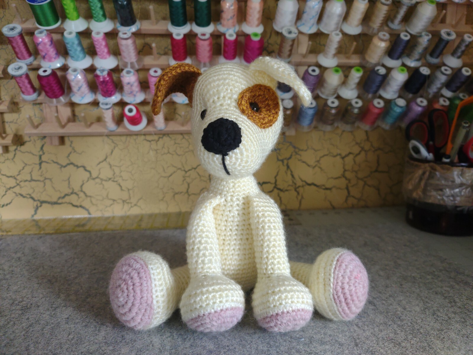 Lolo the Dog