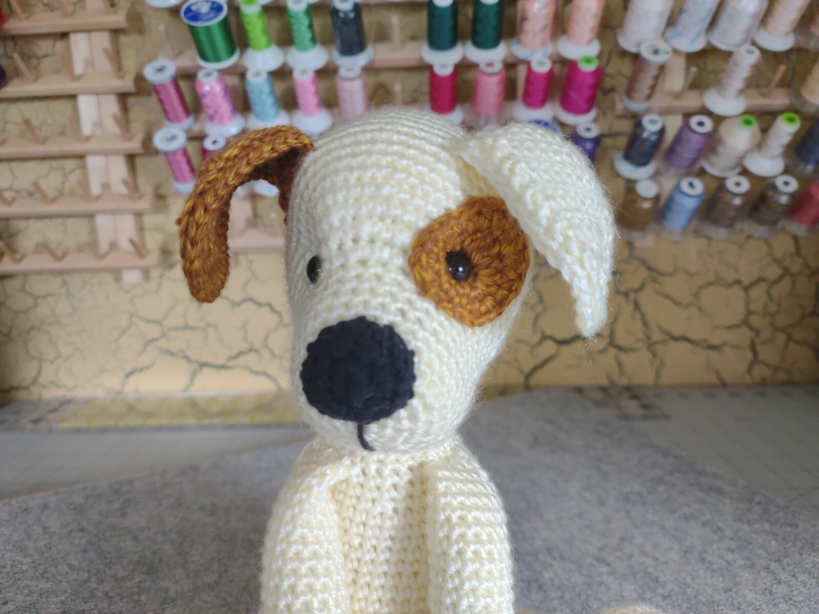 Lolo the Dog