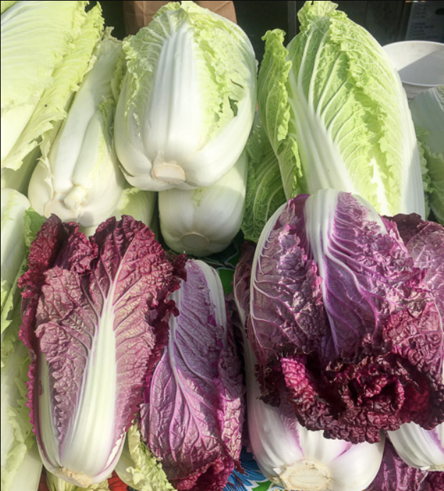 Red And Chinese Cabbage