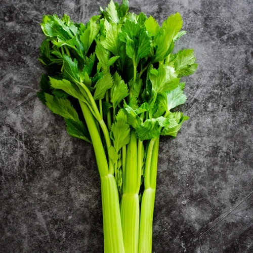 Celery