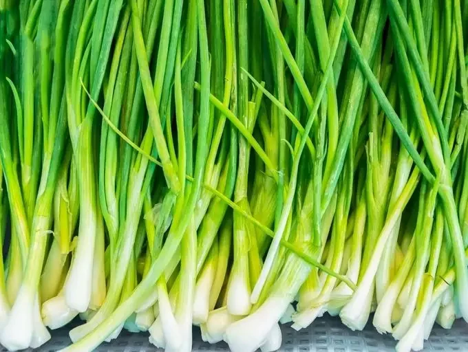 Spring Onion
